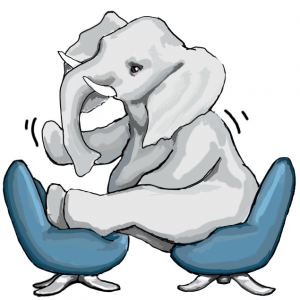 Change management Full elephant